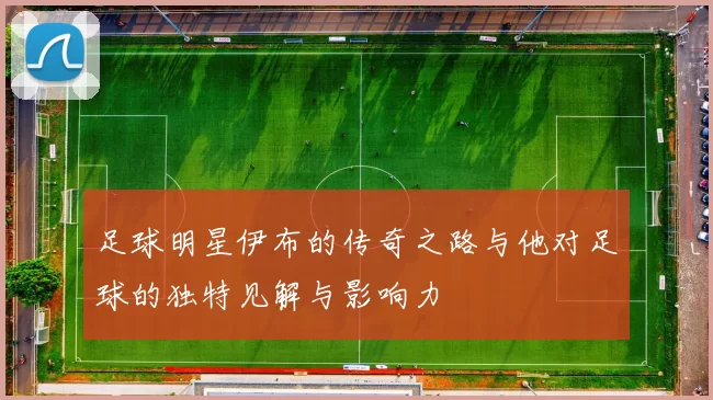 足球明星伊布的传奇之路与他对足球的独特见解与影响力