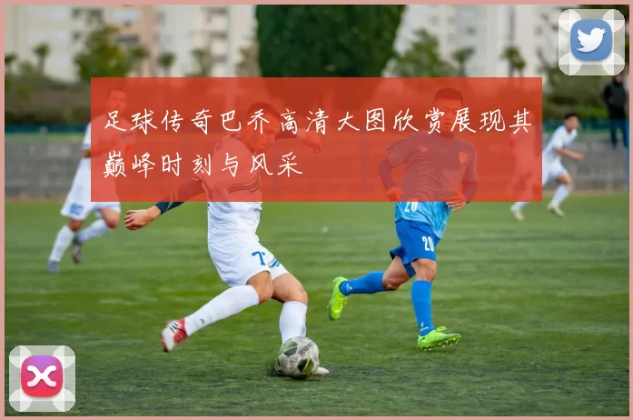 足球传奇巴乔高清大图欣赏展现其巅峰时刻与风采