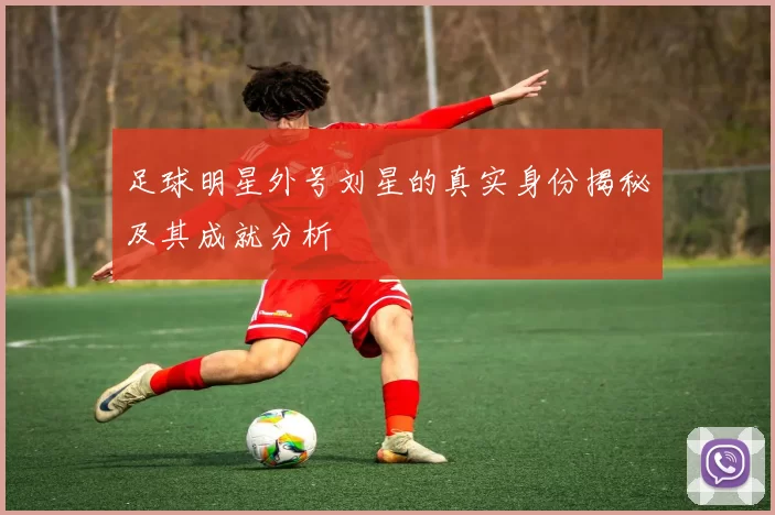 足球明星外号刘星的真实身份揭秘及其成就分析