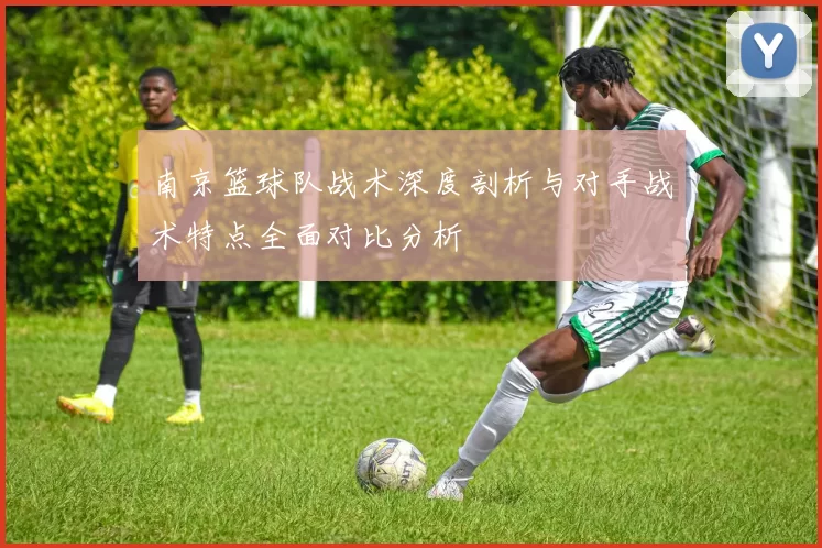 南京篮球队战术深度剖析与对手战术特点全面对比分析
