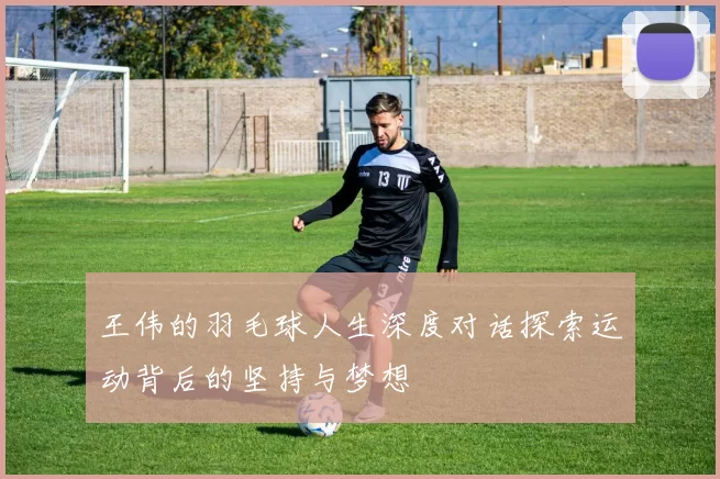 王伟的羽毛球人生深度对话探索运动背后的坚持与梦想
