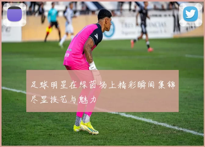 足球明星在绿茵场上精彩瞬间集锦尽显技艺与魅力