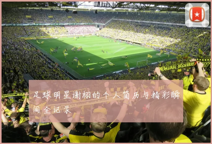 足球明星谢栩的个人简历与精彩瞬间全记录