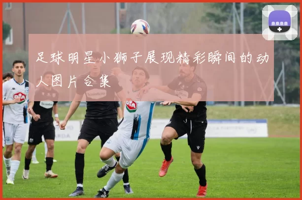 足球明星小狮子展现精彩瞬间的动人图片合集