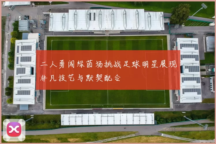 二人勇闯绿茵场挑战足球明星展现非凡技艺与默契配合