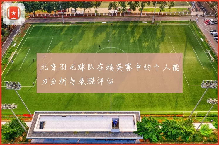 北京羽毛球队在精英赛中的个人能力分析与表现评估