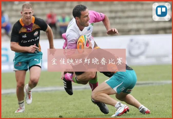 金佳映vs郑晓春比赛