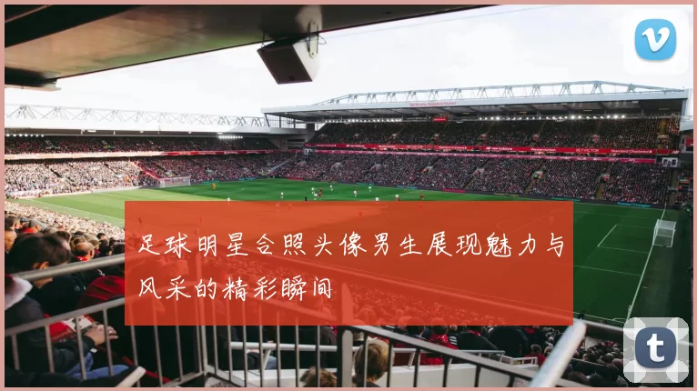 足球明星合照头像男生展现魅力与风采的精彩瞬间