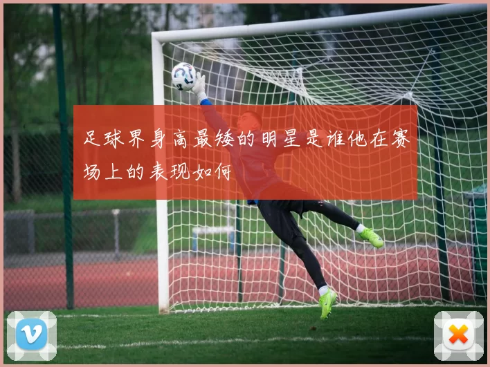 足球界身高最矮的明星是谁他在赛场上的表现如何