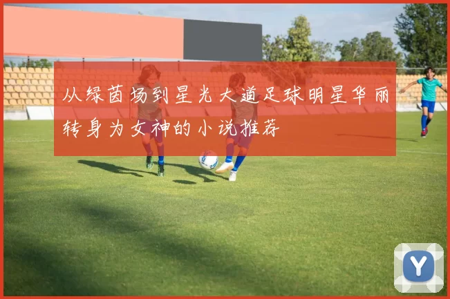 从绿茵场到星光大道足球明星华丽转身为女神的小说推荐