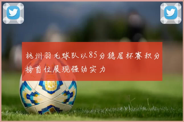 杭州羽毛球队以85分稳居杯赛积分榜首位展现强劲实力
