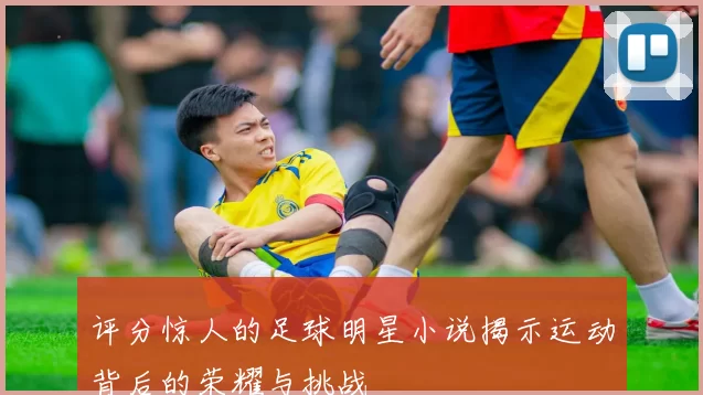 评分惊人的足球明星小说揭示运动背后的荣耀与挑战
