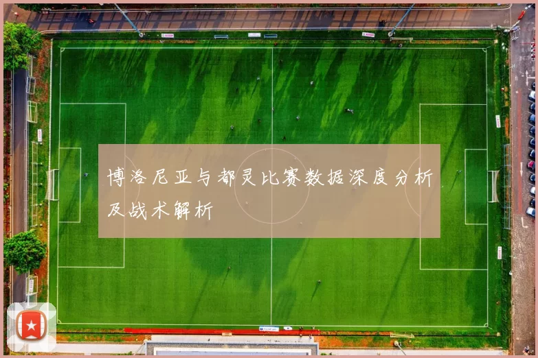 博洛尼亚与都灵比赛数据深度分析及战术解析