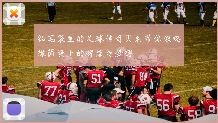 铅笔袋里的足球传奇贝利带你领略绿茵场上的辉煌与梦想